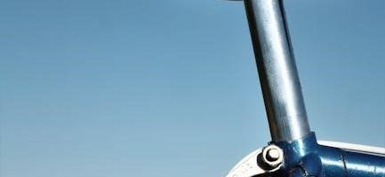 saddle fitting guide