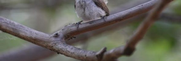 quiksilver size guide