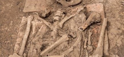 types of bone fracture pdf